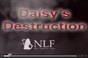 dafu love video|daisy s destruction.